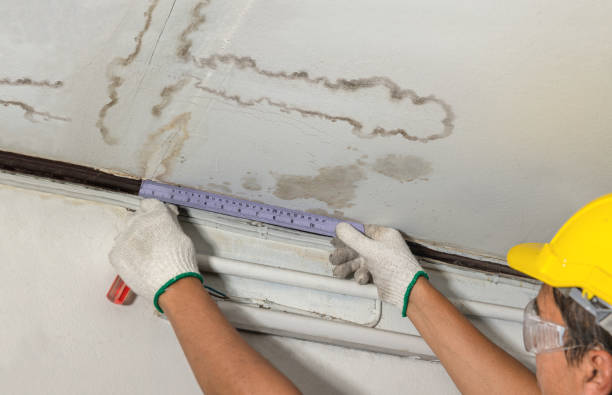 Reliable Water Damage contractor in Roanoke, VA by Water Damage Irwin